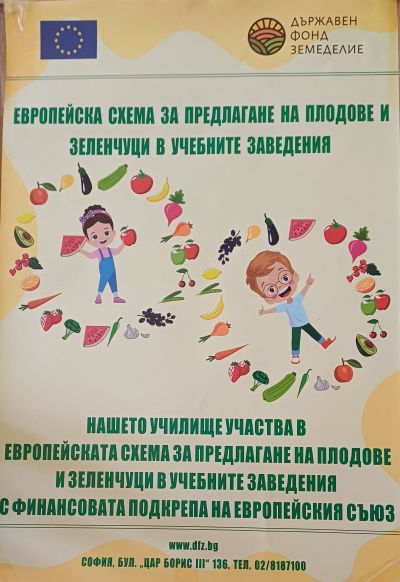 Проекти 4