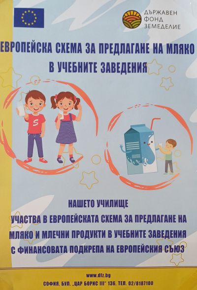Проекти 5